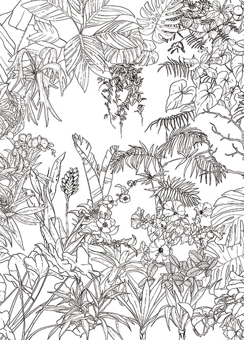 Papier peint Jungle Tropical Noir et Blanc Medium